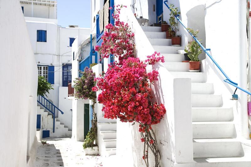 Mykonos In Spring